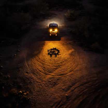 Nacho Nano - Scene